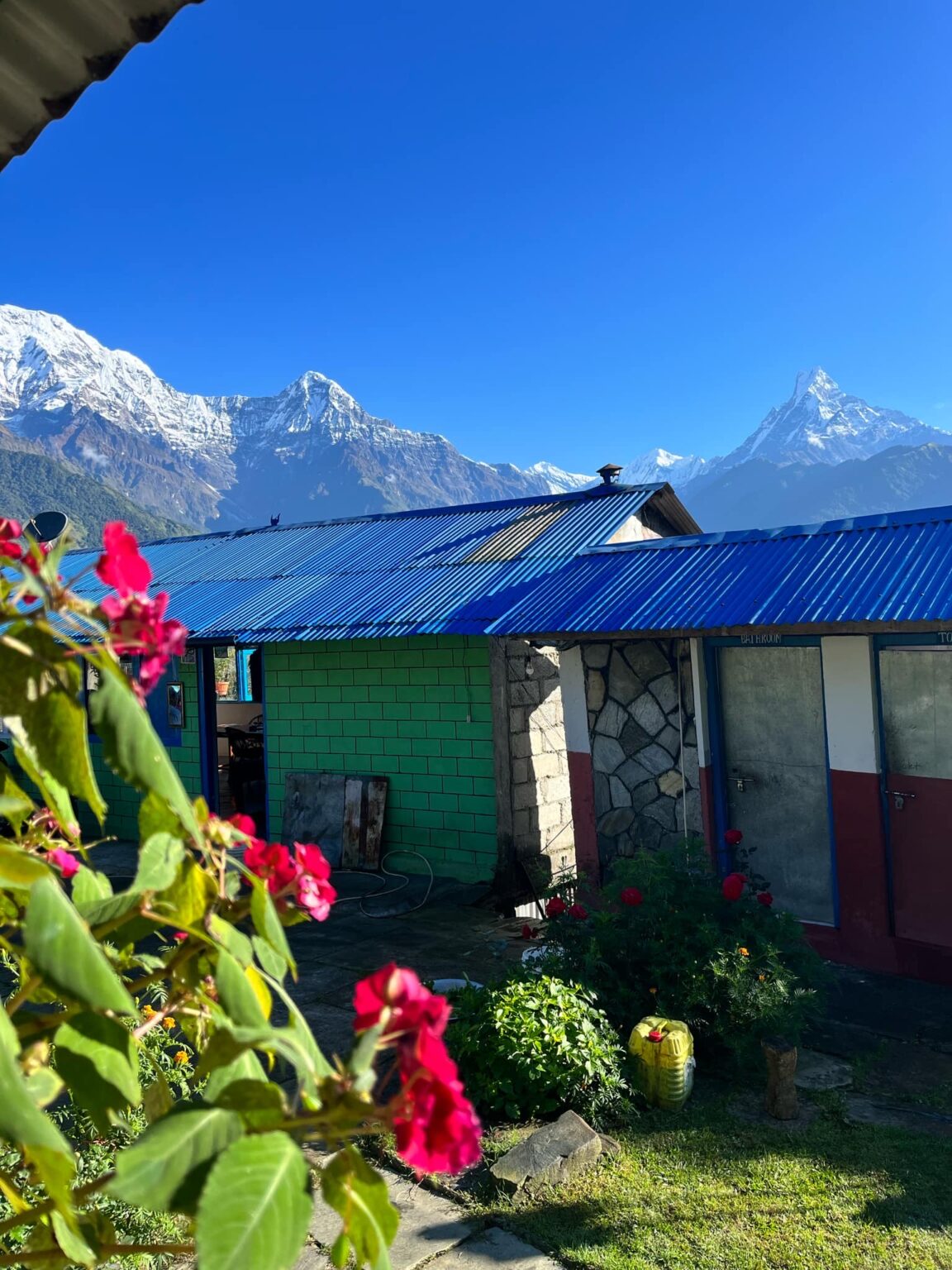 Yoga Retreat Nepal 2025 YogaSol Ferny Hills